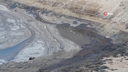 California kıyılarında petrol sızıntısını temizleme çalışmaları başladı