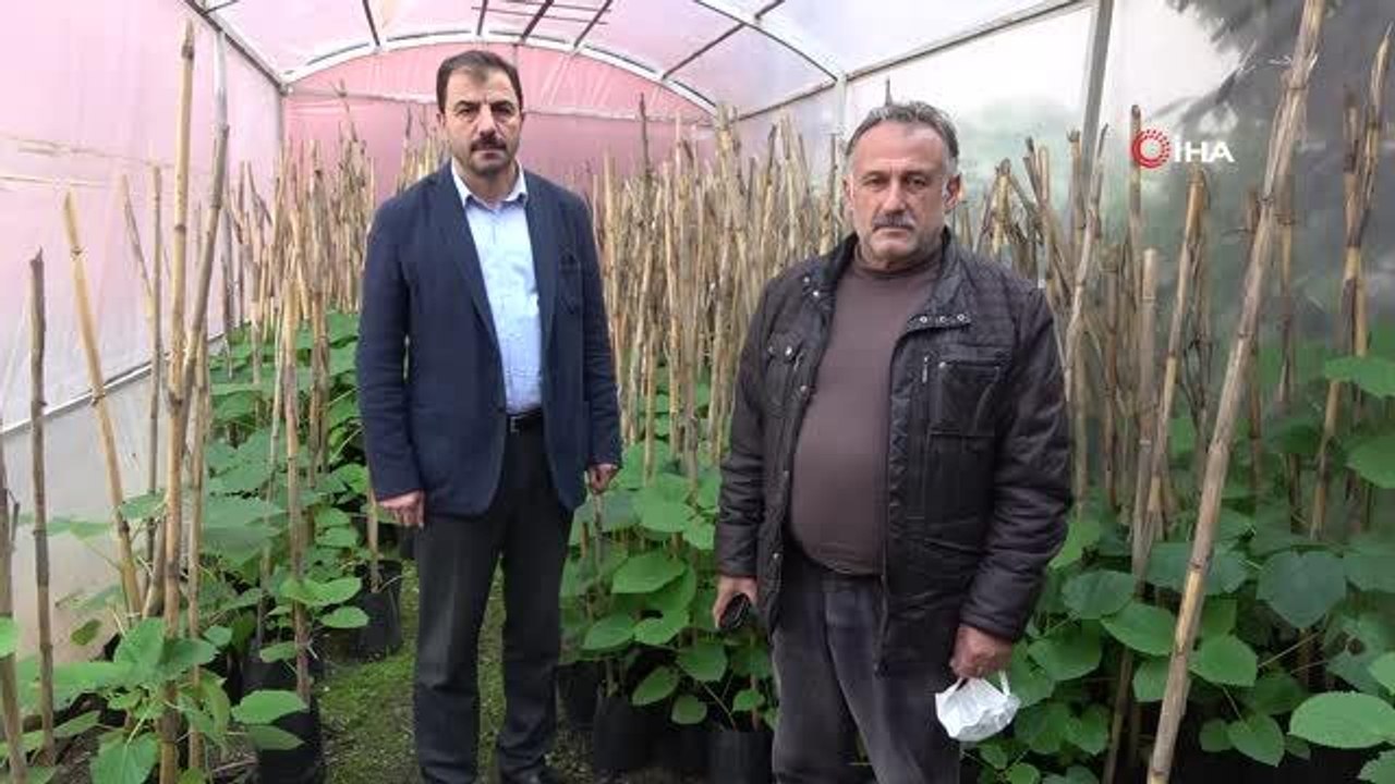 Son Dakika | 'Bal ormanları' ile hem arı ölümlerinin önüne geçilecek hem de bal verimi artırılacak