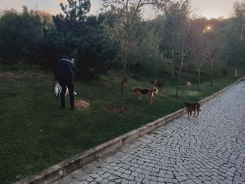 SULTANGAZİ'DE POLİS SOKAK HAYVANLARINI BESLEDİ