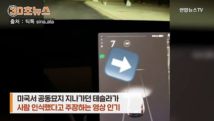 [30초뉴스] 테슬라가 귀신도 감지?…아무도 없는 공동묘지서 '사람' 인식