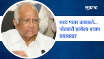 New Delhi | शरद पवार कडाडले... 'शेतकरी हत्येला भाजप जबाबदार'