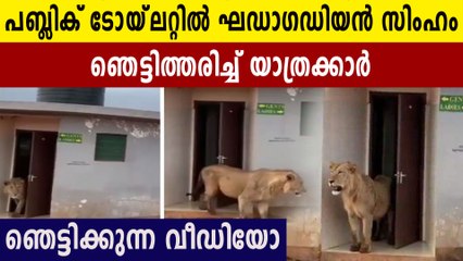 ഹൈവേയിലെ പബ്ലിക് ടോയ്‌ലെറ്റിൽ കയറിയിരിക്കുന്ന ആളെ കണ്ടോ. നടുക്കുന്ന വീഡിയോ