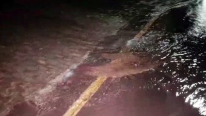 Caixa d'agua da Sanepar estoura e milhares de litros são desperdiçados