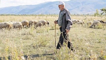 Bir zamanlar Nasrettin Hoca'nın maya çaldığı Akşehir Gölü çöle döndü