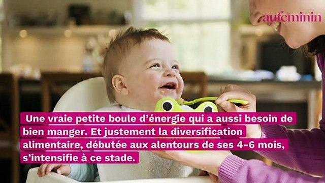 Quelle alimentation pour un bébé 7 mois ? Diversification, conseils, recettes...