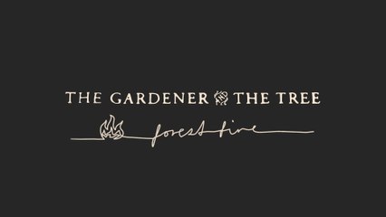 The Gardener & The Tree - forest fire