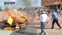 인삼 쌓아놓고 불태운 농민들…