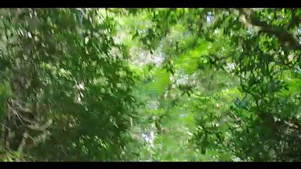 LIGHT - TRAILER
