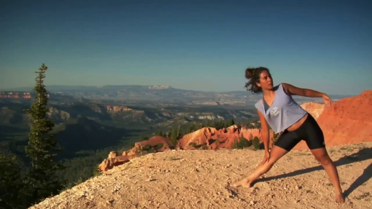 BRISA DE AIRE Y PÁJAROS VÍDEO AMBIENTAL SONIDO RELAJANTE