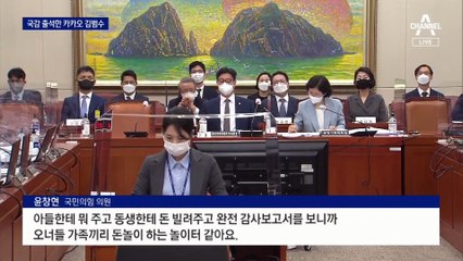 “가족끼리 돈놀이 하나”…국감장서 질타받은 김범수