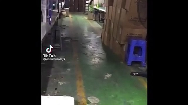 Clip công ty ở Bình Dương thưa thớt công nhân