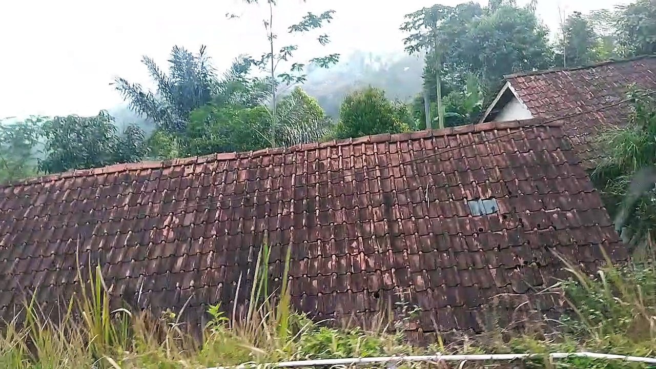 Menelusuri pesisir desa ter pencil