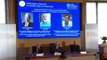 Premio Nobel de Física 2021 a Syukuro Manabe, Klaus Hasselmann y Giorgio Parisi