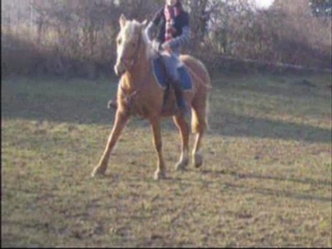 Seance de dress' avec ignes