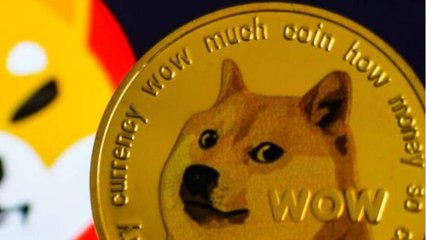La crypto Shiba Inu a bondi de 30% après un tweet d’Elon Musk