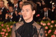 Harry Styles reveals the EXPLICIT meaning behind Watermelon Sugar