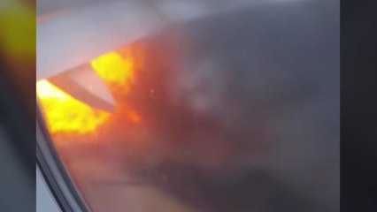 이륙 직전 여객기 엔진에 새 들어가 화재...승객 긴급 탈출 / YTN