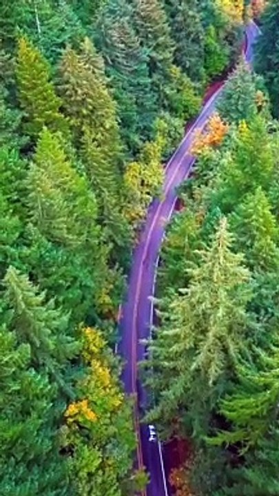 Beautiful Relaxing Music