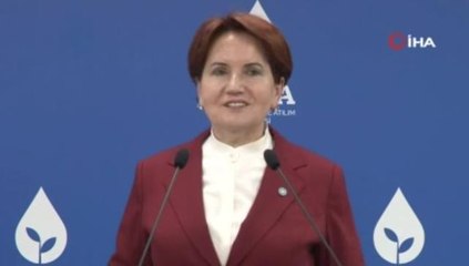 Meral Akşener ve Ali Babacan bir araya geldi