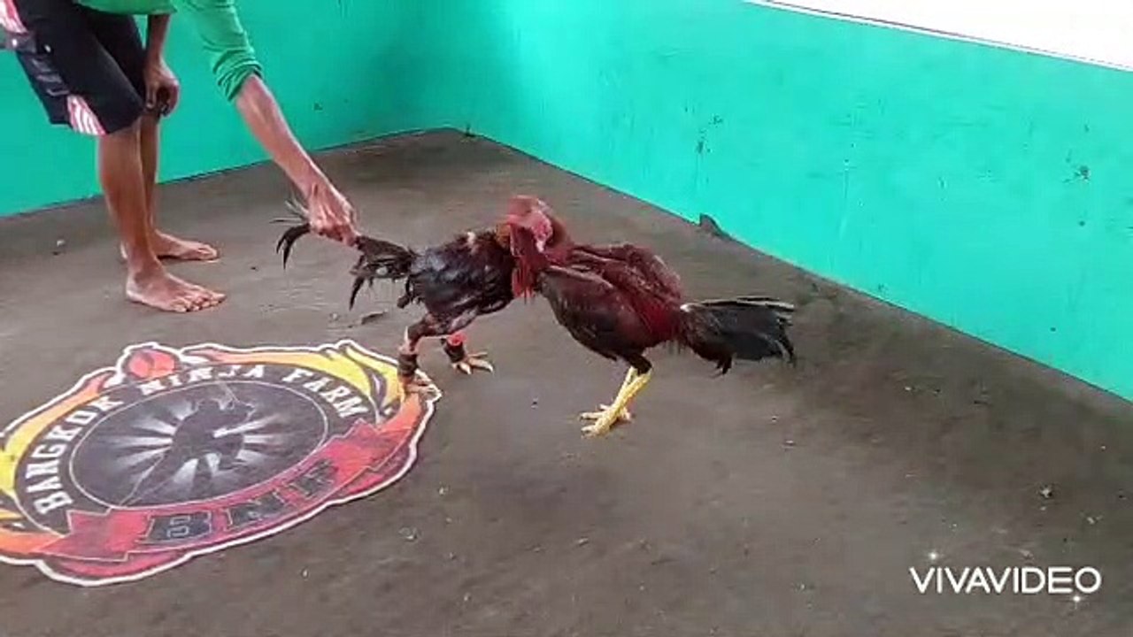 video_2021-10-06_01-06-34