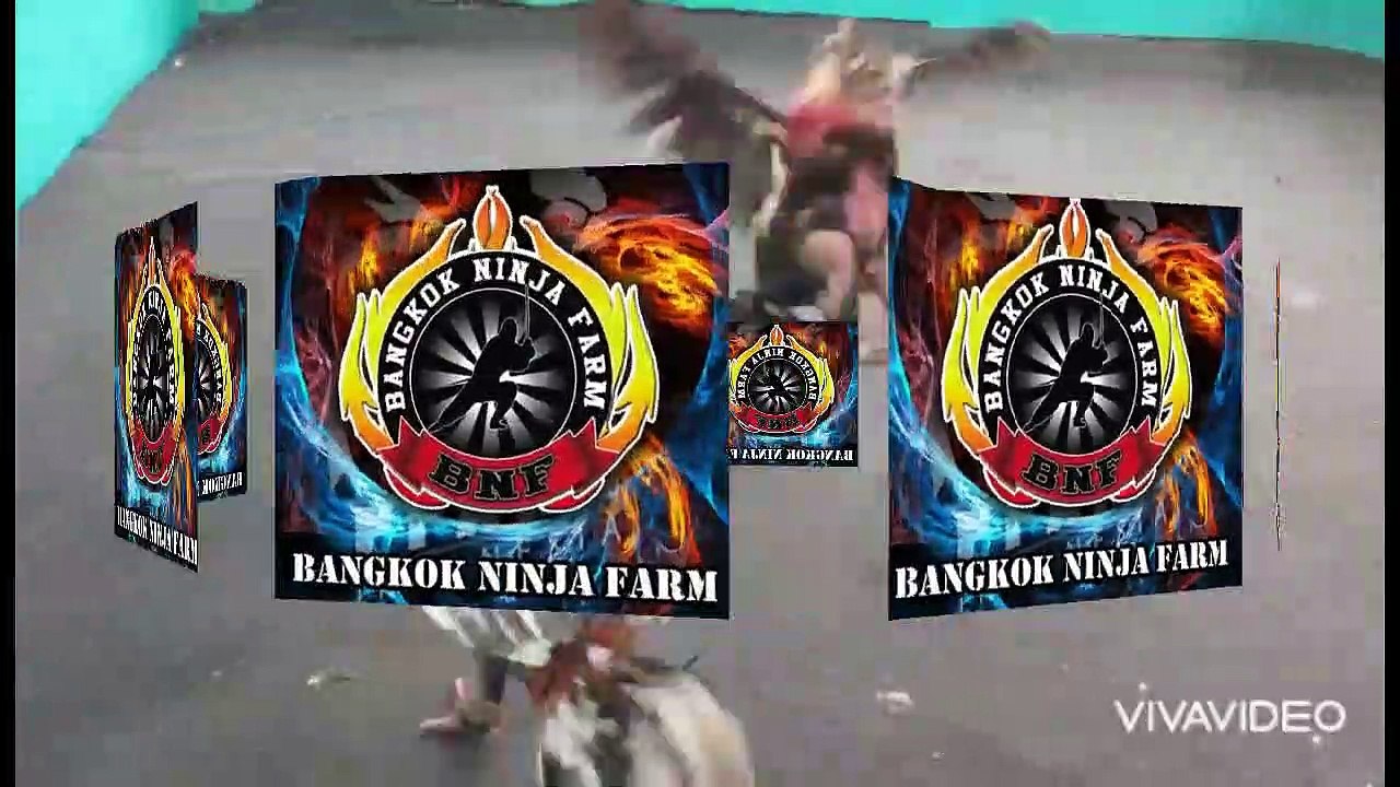 Sparing - Olahraga Rutin BNF