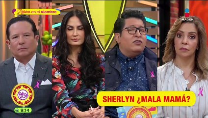 Sherlyn responde a críticas por accidente donde su perro mordió a su bebé