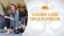 Meditación: Llegando a casa con la respiración con Ale Quintero.| RSVP
