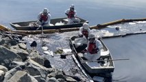 VIDEO: A major oil spill in California is killing wildlife and polluting water at popular beaches