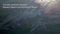 VIDEO: A major oil spill in California is killing wildlife and polluting water at popular beaches