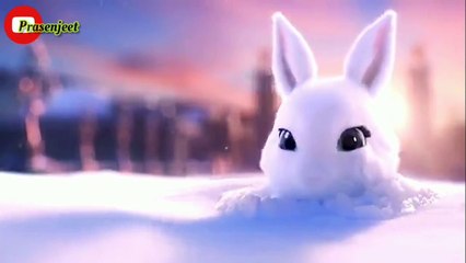 So Cute  3D Rabbit and Flowers  WhatsApp Status Video By Prasenjeet Meshram
