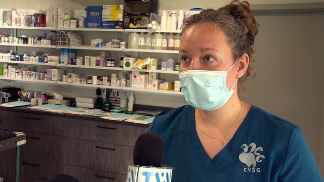 04 oct Topo PG manque de veterinaire v2