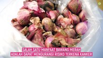 10 MANFAAT BAWANG MERAH BAGI KESEHATAN _ Menurunkan Kolesterol