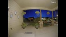 Doorbell Camera Captures Meteor Lighting Up the Sky