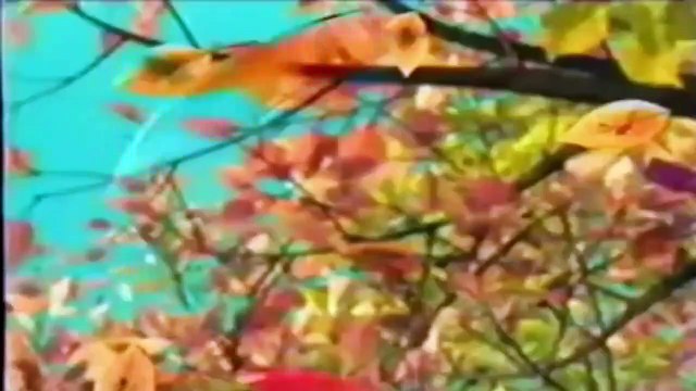 Abertura do VHS Disney Cinderela 1999