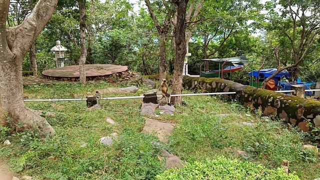 viswa shanti stupa Rajgir Bihar