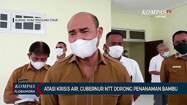 Atasi Krisis Air, Gubernur NTT Dorong Penanaman Bambu