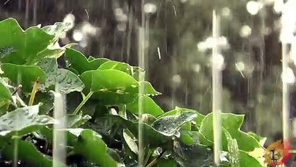 Relaxing Lullaby Music, With Rain & Instrumental Guitar