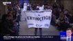 Une militante d'Exctinction Rebellion a fait irruption dans le défilé Louis Vuitton