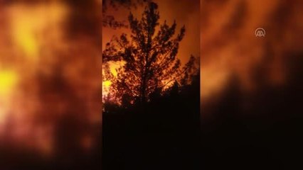 Orman yangınına müdahale ediliyor