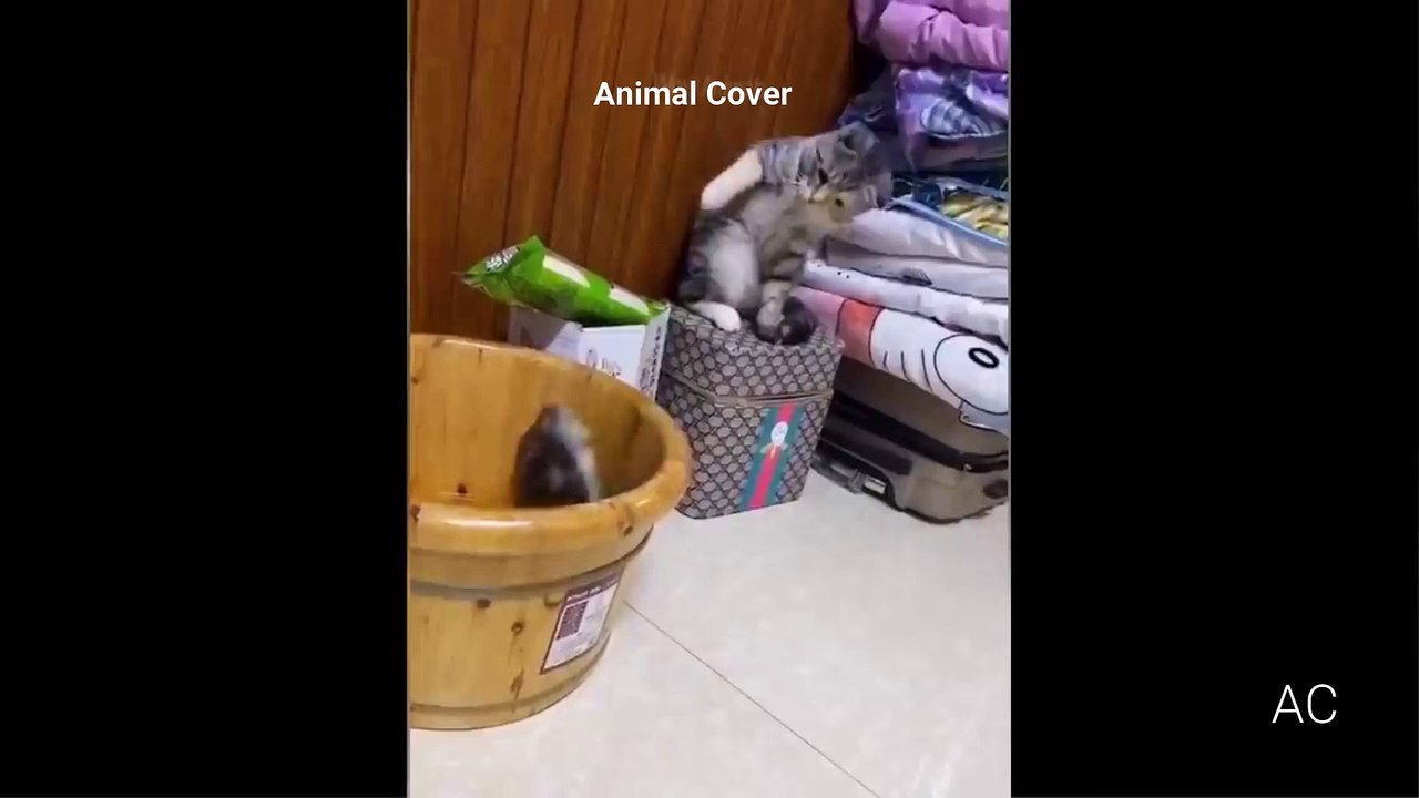 cute 2