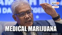 Putrajaya looking into legalisation of medical marijuana