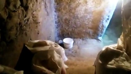 Urfa’da bir evin bahçesinde 12 bin yıllık figürler bulundu