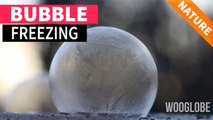 'Enchanting timelapse footage of a bubble freezing '