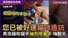 您已被好運貓咪造訪！ 男孩「藉助貓手」抽到限量卡 嗨翻天