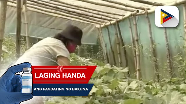 DA-Cordillera, nagbukas ng negosyong poultry para sa mga magsasakang naapektuhan ng pandemya sa Benguet