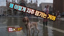 [#짧pic] 물에 잠긴 이탈리아 베네치아의 산 마르코 광장 / YTN