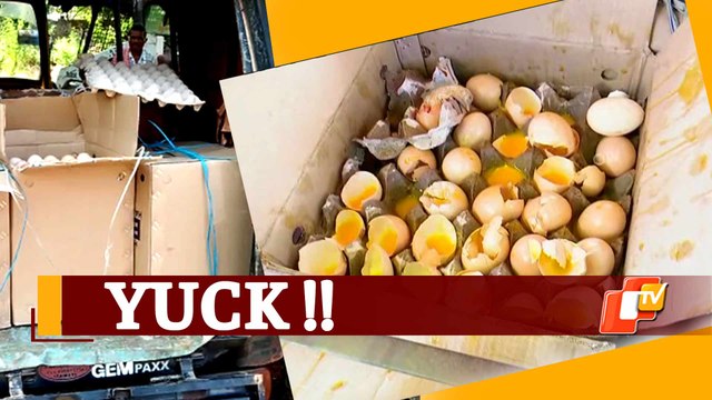 Odisha: Rotten Eggs For Supply To Bakery In Cuttack Seized