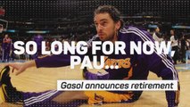 Gasol ends 23-year basketball career