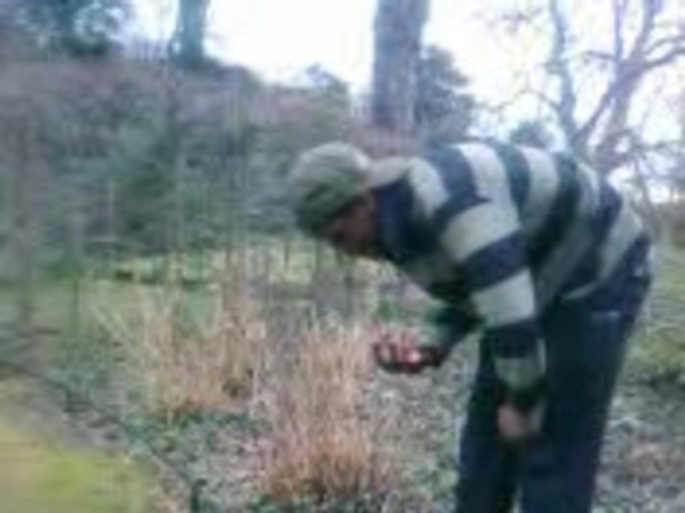 VID003