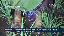 Petani Tewas Kesetrum Jebakan Tikus Yang Dipasang Sendiri